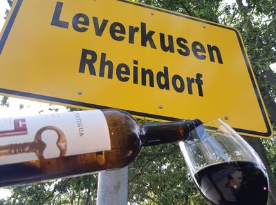 wein rheindorf lev rheindorf